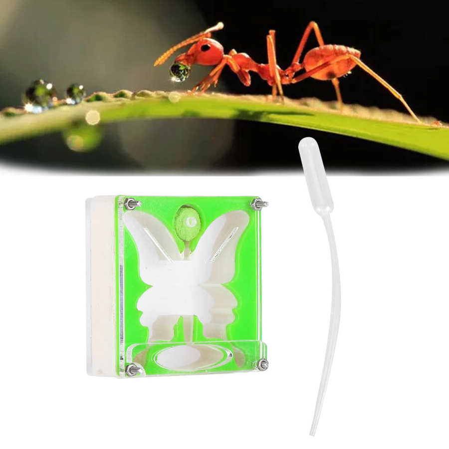 Insect Box Ant House Ant Workshop Self-Controlled Humidity Ant Nests Castle Ant Home Acrylic Ant Nests Reptiles Living Box