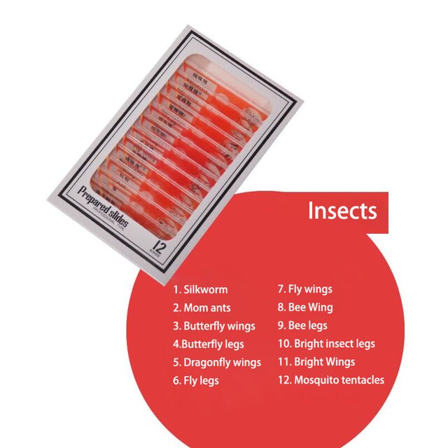 12 Pcs Microscope Slides Specimen Lens Biology Animals Insects Plants Flower Sample for Children Home School Science Educational: 12pcs insect