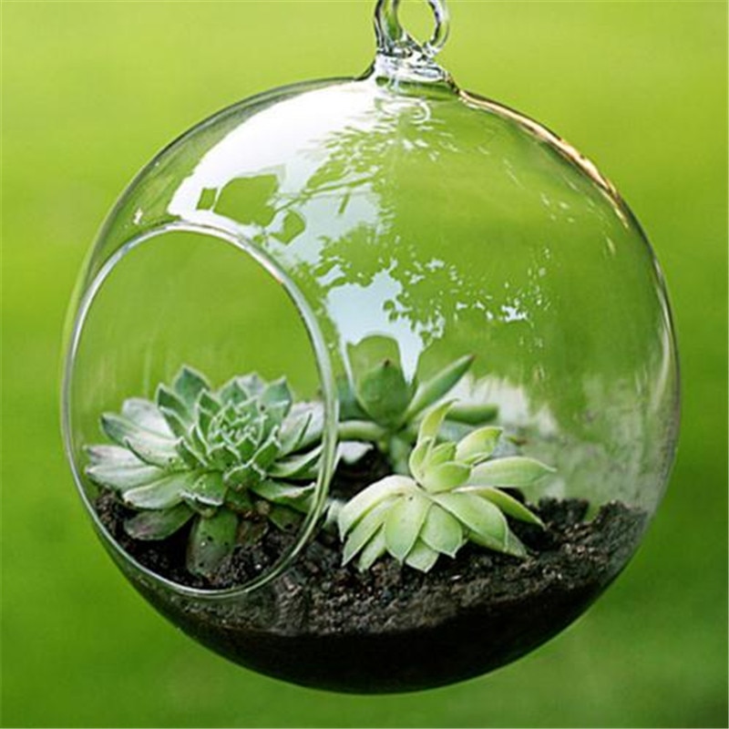 8/10/15 cm Transparante Opknoping Glazen Bloem Planter Vaas Fles Terrarium Decor Mini Clear Muur Bal Bloem opknoping Glas Tank