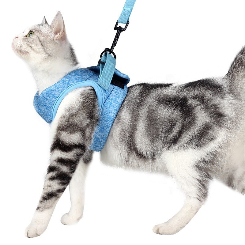Conjunto de Correa y arnés ajustable para perros y gatos, arneses antiescape para mascotas, chaleco transpirable suave para gatos, suministros de correa para pecho para caminar al aire libre: Blue / S