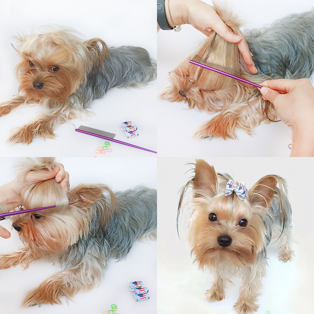 Haustier Hund Kamm 6062025 Schlanke Spitzen Schwanz Pflege Kamm Für zottelig Katze Hunde Barbier Pflegenwerkzeug Salon