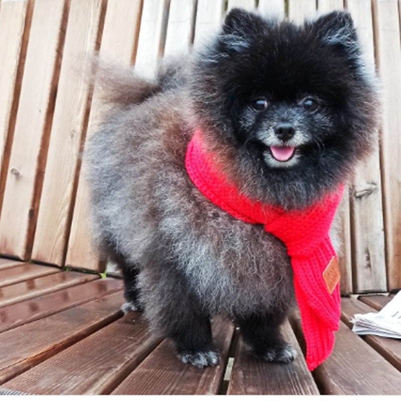 Écharpe d'hiver pour animaux de compagnie, grand foulard en tricot doux pour grands chiens, Bandana chaude pour chiens et chats, écharpe épaisse et chaude pour animaux de compagnie