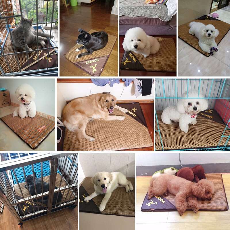 Hoopet Huisdier Zomer Koelmat Hond Zomer Bed Kat Mat Mascotas Cama Perro Sofa Voor Honden Huis