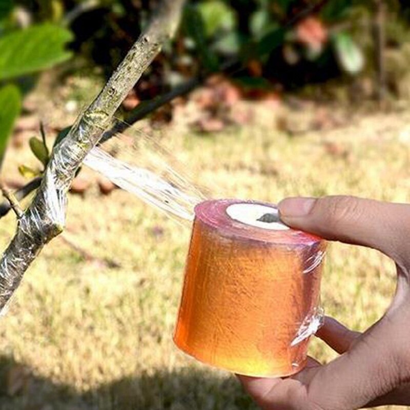 Lixf 10Pcs Adsorptie Film Geënt Membraan Geënt Membranen Vaste Crop Tool Plastic Film Plant Tuin Accessoires