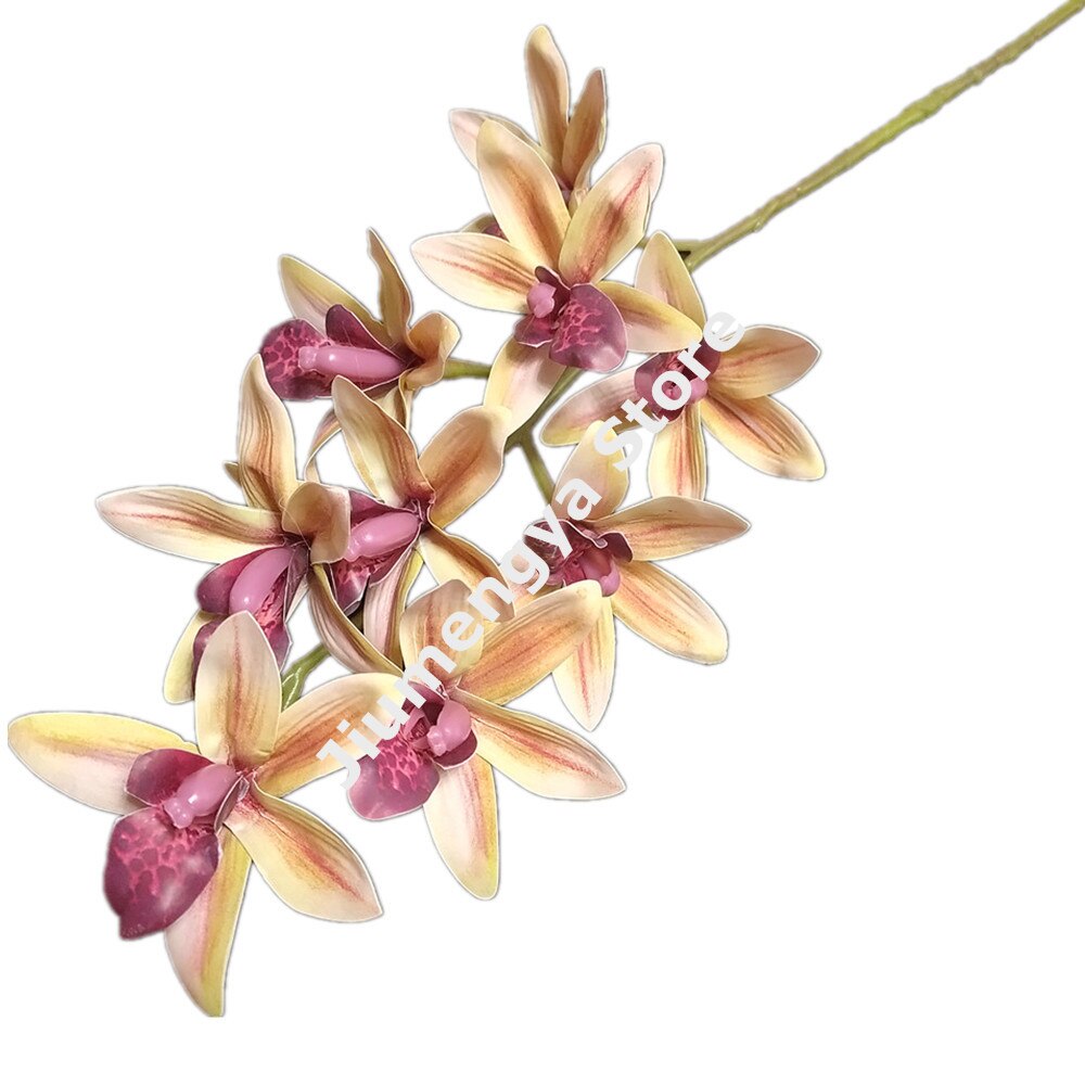 One Real Touch Cymbidium Orchid Flower Plant Artificial 9 Heads Phalaenopsis Orchis for Wedding Home Decorative Flowers: Champagne