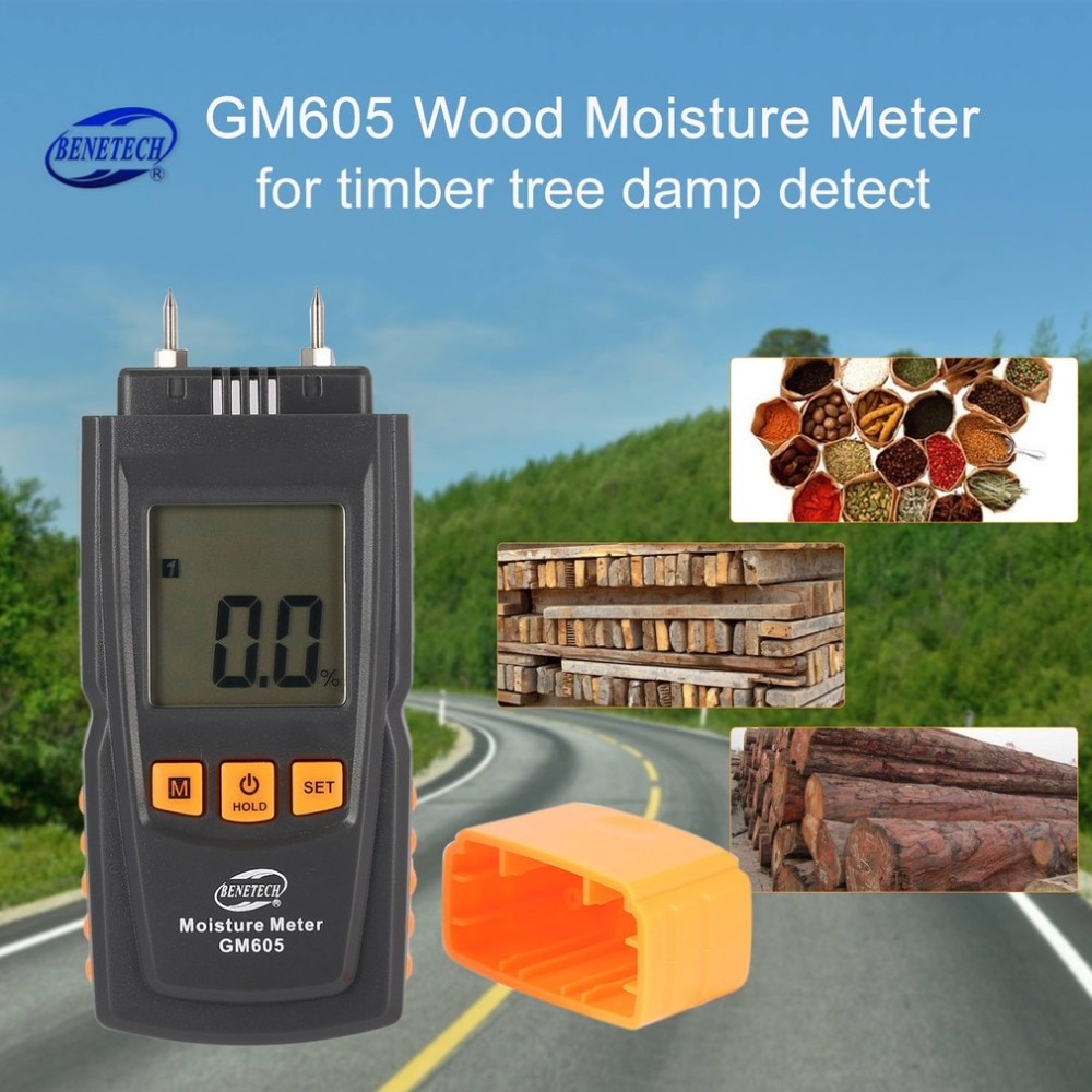 GM605 affichage LCD numérique bois humidimètre testeur d'humidité bois papier arbre détecteur humide 2 broches hygromètre