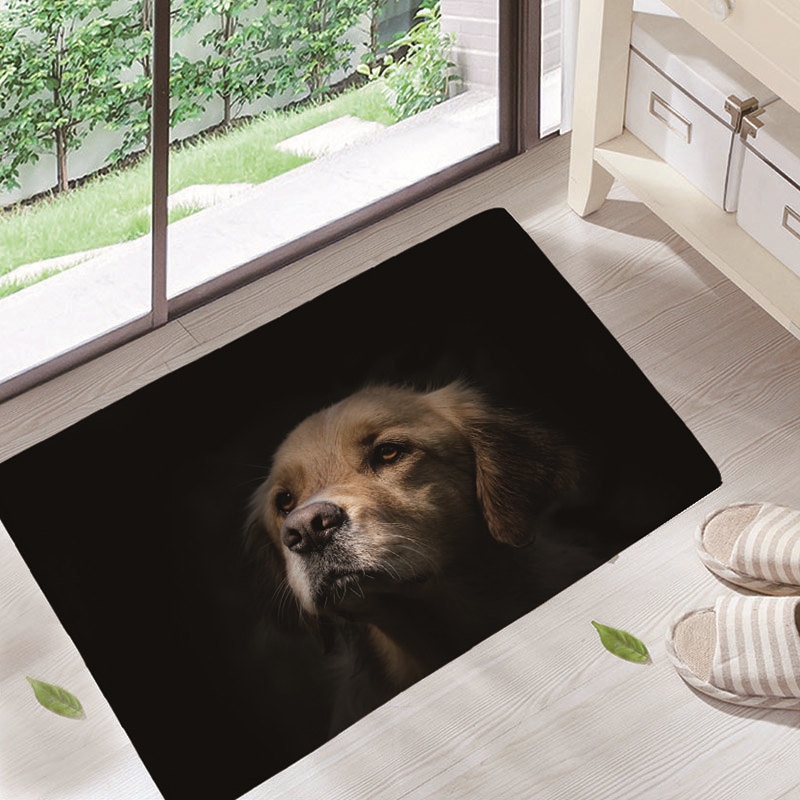 ¡Novedad! Felpudos para puerta de entrada, felpudos con bonito patrón de animales para perros, felpudos a prueba de polvo para sala de estar, decoración del hogar: 2