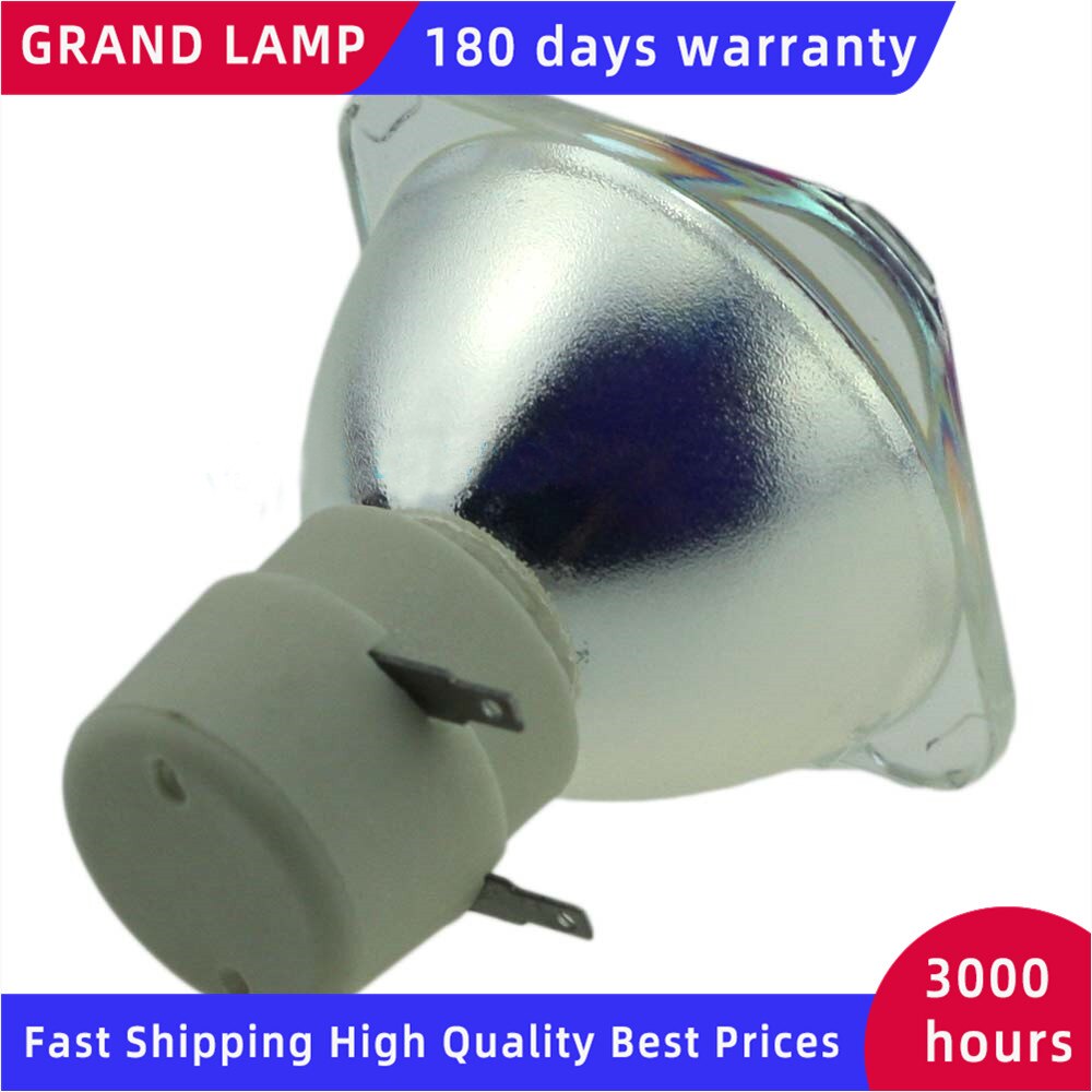 308942/LAMP TYPE 3 Replacement Projector Lamp/Bulb For RICOH PJ WX4130/PJ WX4130N/PJ WX4130Ni