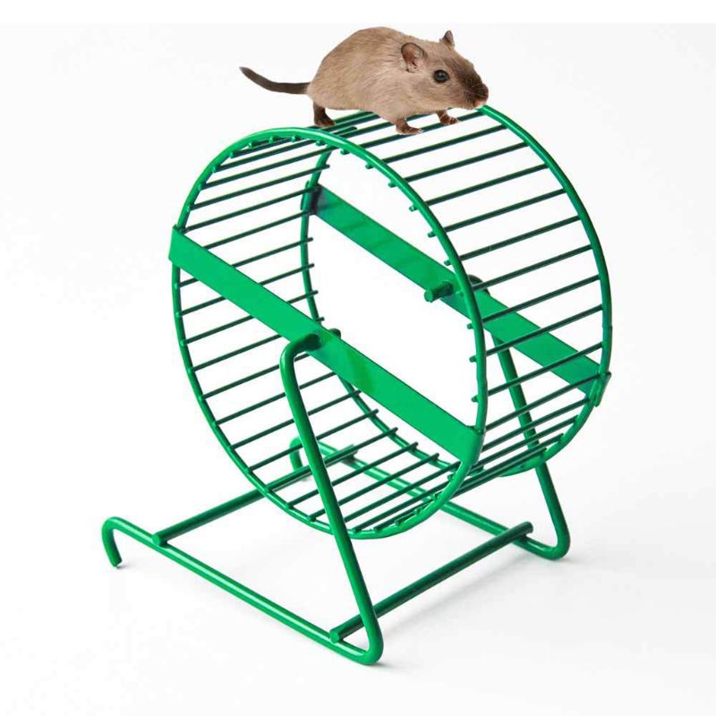Kæledyrsprodukter trådnet hamsterhjul legetøj til små dyr