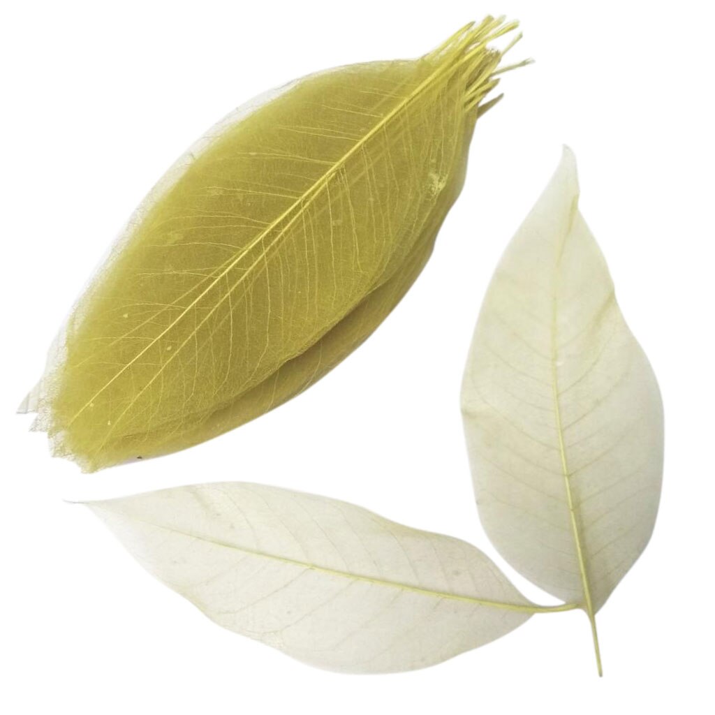 100x Magnolia Leaf Decoration Wedding Party Supply DIY Crafts Accessory