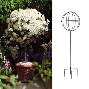 Molino de viento de copo de nieve azul, soporte de Piruleta de jazmín, Clematis, soporte de flores de jardín esférico de hierro, soporte de escalada