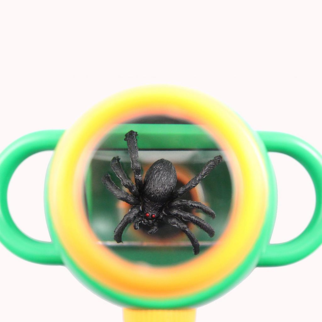 Insect Voeden Observatie Doos Twee Manier Bug Viewer Met Vergrootglas Glas
