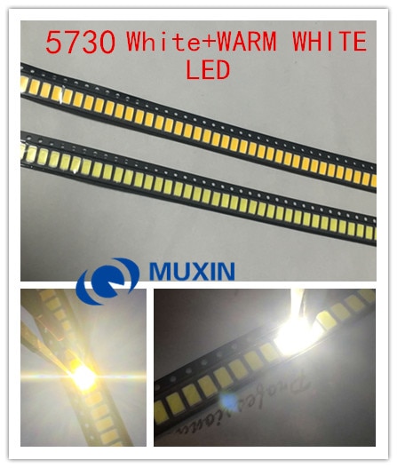 100 stks/partij 5730 LED-wit 50pcs + Warm wit 50 stuks 0.5W 50-55lm 6500K Wit Licht SMD 5730 5630 LED chip lampen (3.2 v-3.4 v)