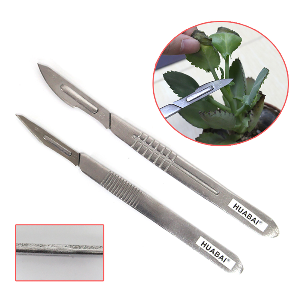 Bisturí quirúrgico de acero inoxidable con cuchillas de 10 piezas 11 # 23 # Caja de almacenamiento con mango de Metal extraíble para injerto de plantas, tallado, reparación DIY