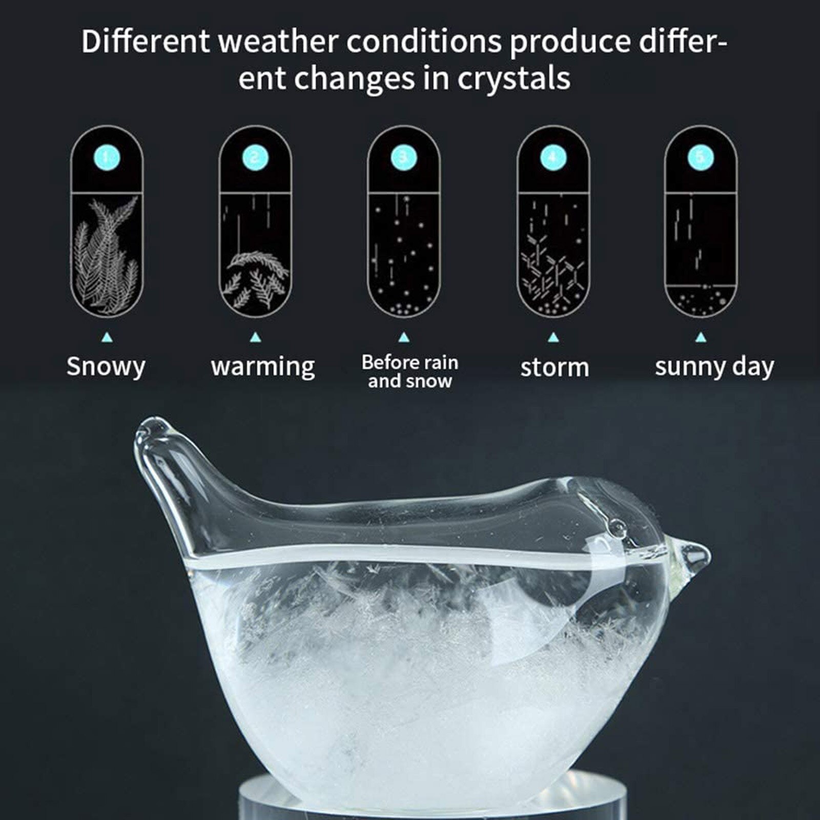 Glas Prognostiker Flüssigkeit Barometer Anzeichen Schreibtisch nasser Glas 30ml Vogel bilden Sturm Flasche nasser Prognose # T2