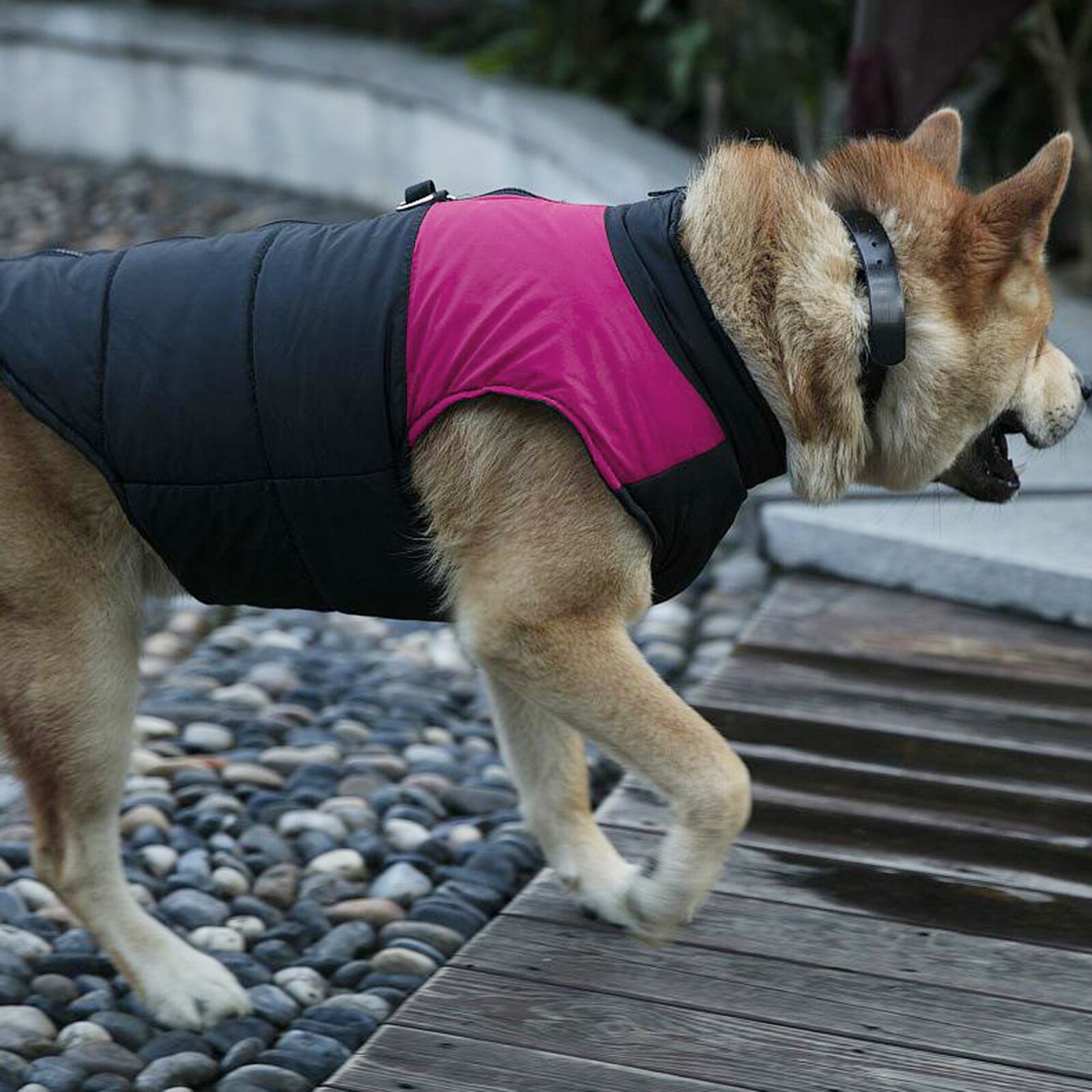 Warm Hond Kleding Waterdicht Pet Gewatteerde Vest Rits Jas Jas Voor Chihuahua