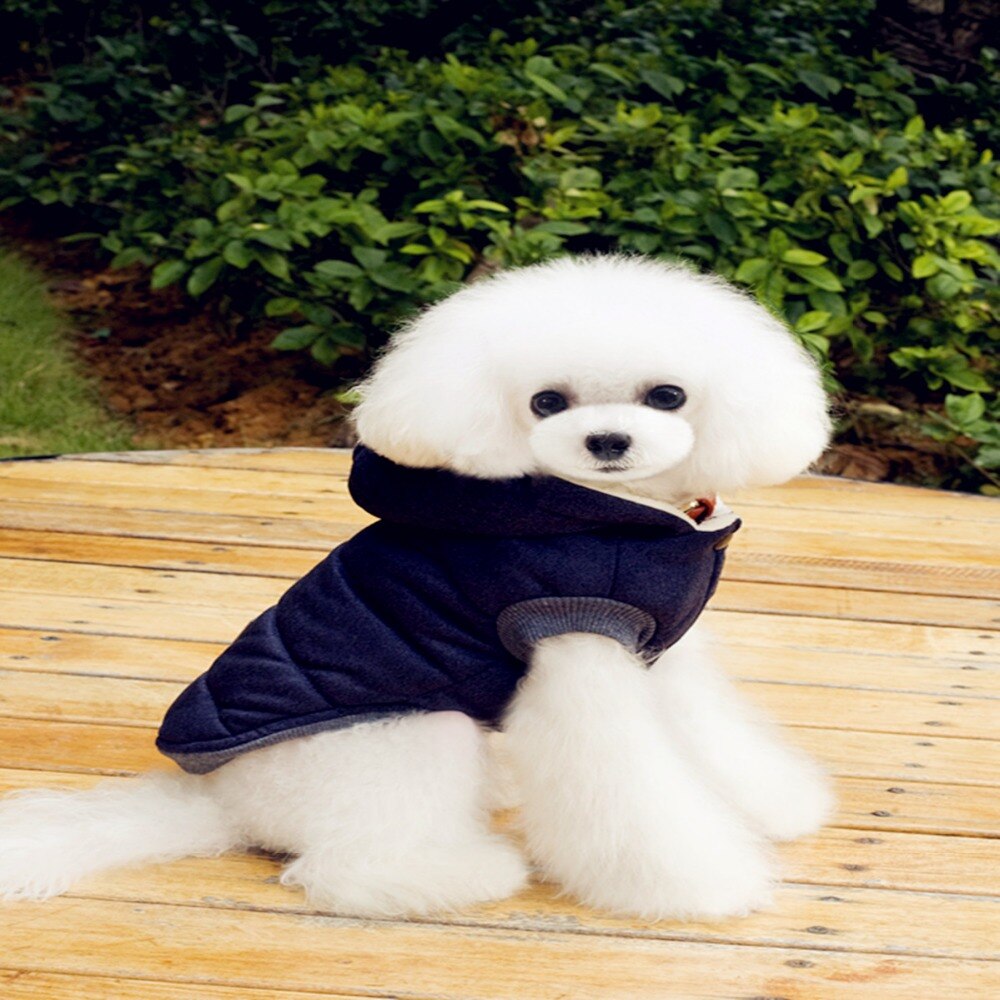 Hiver chien vêtements manteau Moustache veste salopette pour petits chiens moyens chat doux sweats à capuche extérieur Costume vêtements
