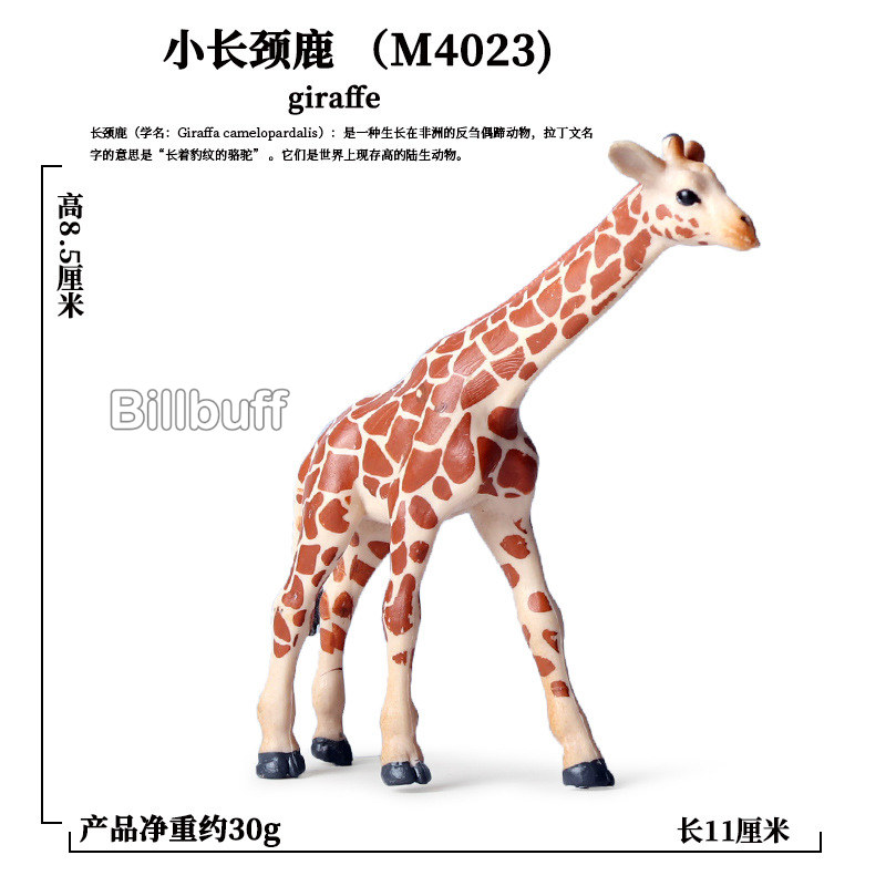 Mini Simulatie Wilde Dieren Abs Model Actiefiguren Paard Herten Kangoeroe Zebra Koe Cub Collection Educatief Speelgoed Voor Kinderen: Animal Figures O