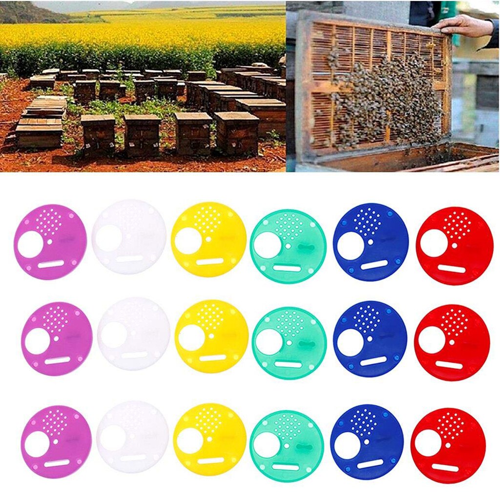 20pcs Supplies Equipment Entry Beehive Bee Box Door Entrance Gate Anti-escape Beekeeper Tool Plastic Hive Bees Tools Accessories
