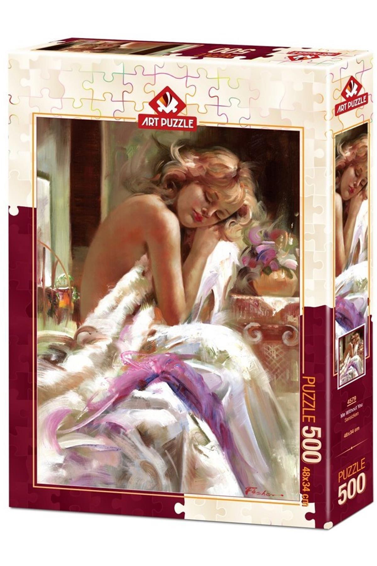 4579/Art Sensizken-500 Piece