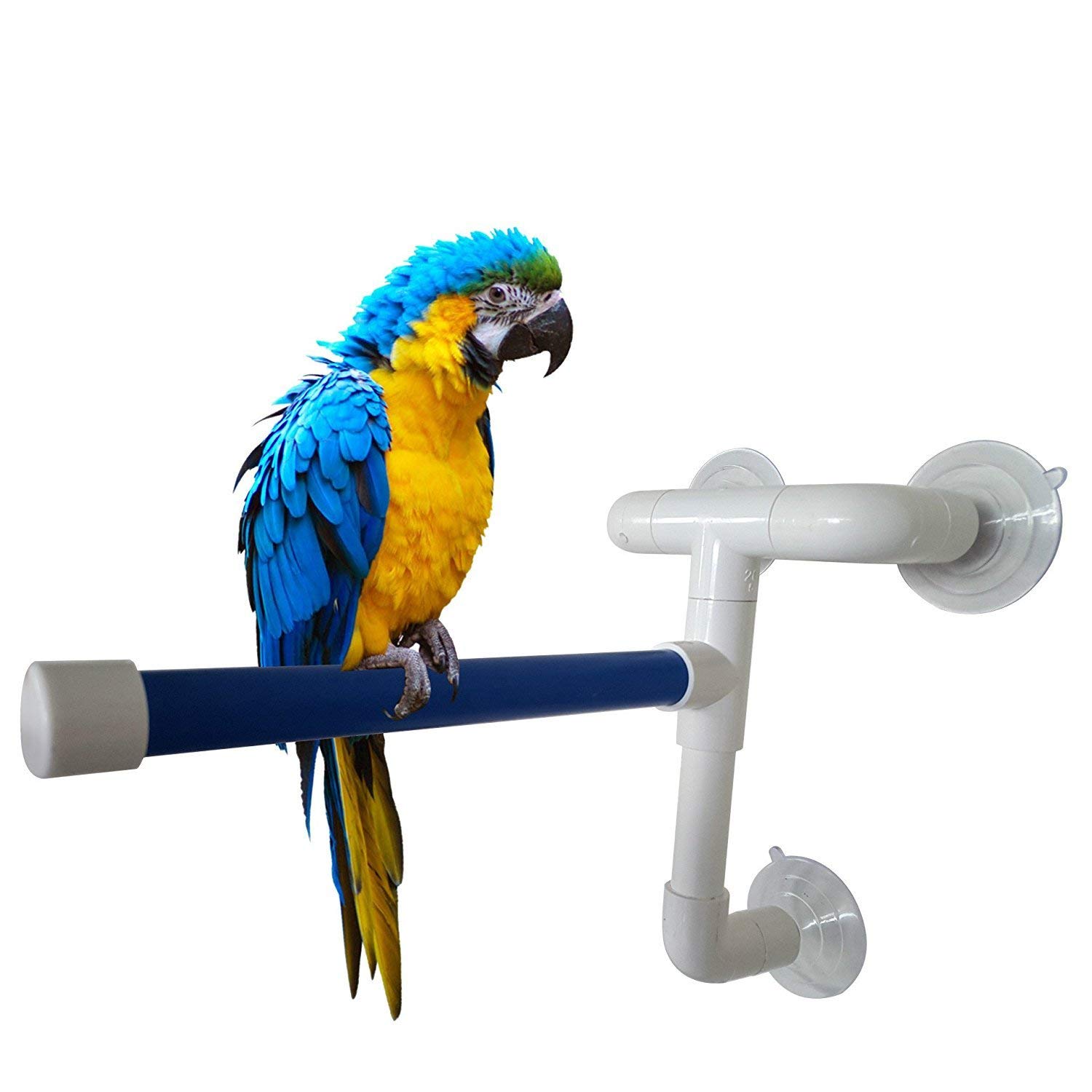 Vogel Dusche Tragbare Saugnapf Fenster Stehend Plattform für Papagei Ara Kakadu Wellensittiche Sittich Nymphensittich Conure Turteltauben: 3 Saugen Tassen-B