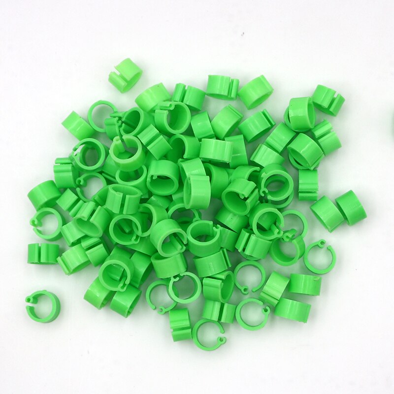 Anillos de plástico para pies de palomas y codorniz, suministros para aves pequeñas, 10 colores, piezas, 100: Verde