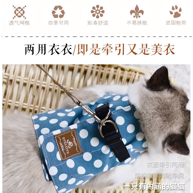 Cat's special traction rope walking cat rope cat chain to prevent from breaking free chest strap traction belt cat rope pet