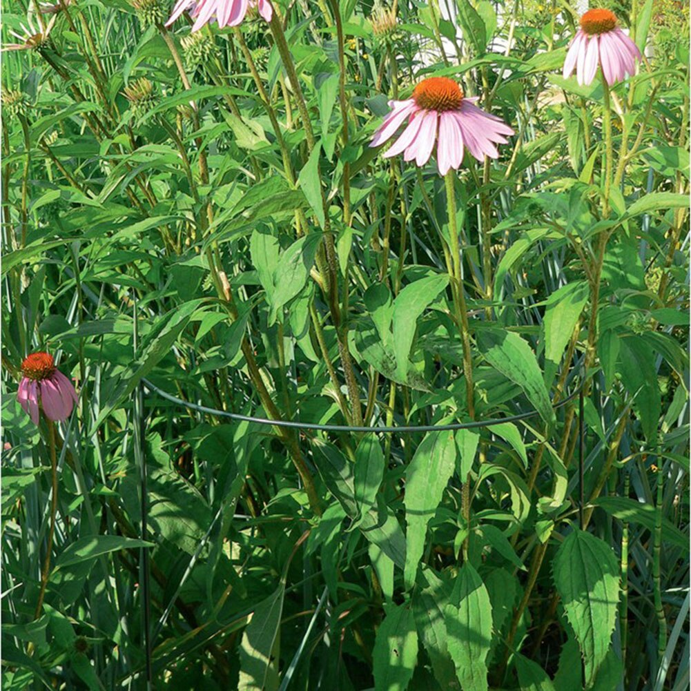 2pcs Half Round Plant Support Ring Garden Tool Solid Steel Rust Semi-Circular Plant Border Support Wire Hoop Plant Support Frame