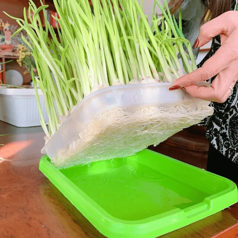 Microgreens Spruitbak Kiembak Hydrocultuurbak Dubbellaags Spruitplaat Kwekerijpotten Grondloze Teelt Planten