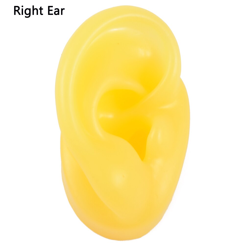 Weiche Silikon Ohr Modell Für hörgerät 1:1 menschliches Ohr ohr modell simulation display requisiten lehre werkzeuge Schmuck display Ohrringe: 1PC Yellow Right