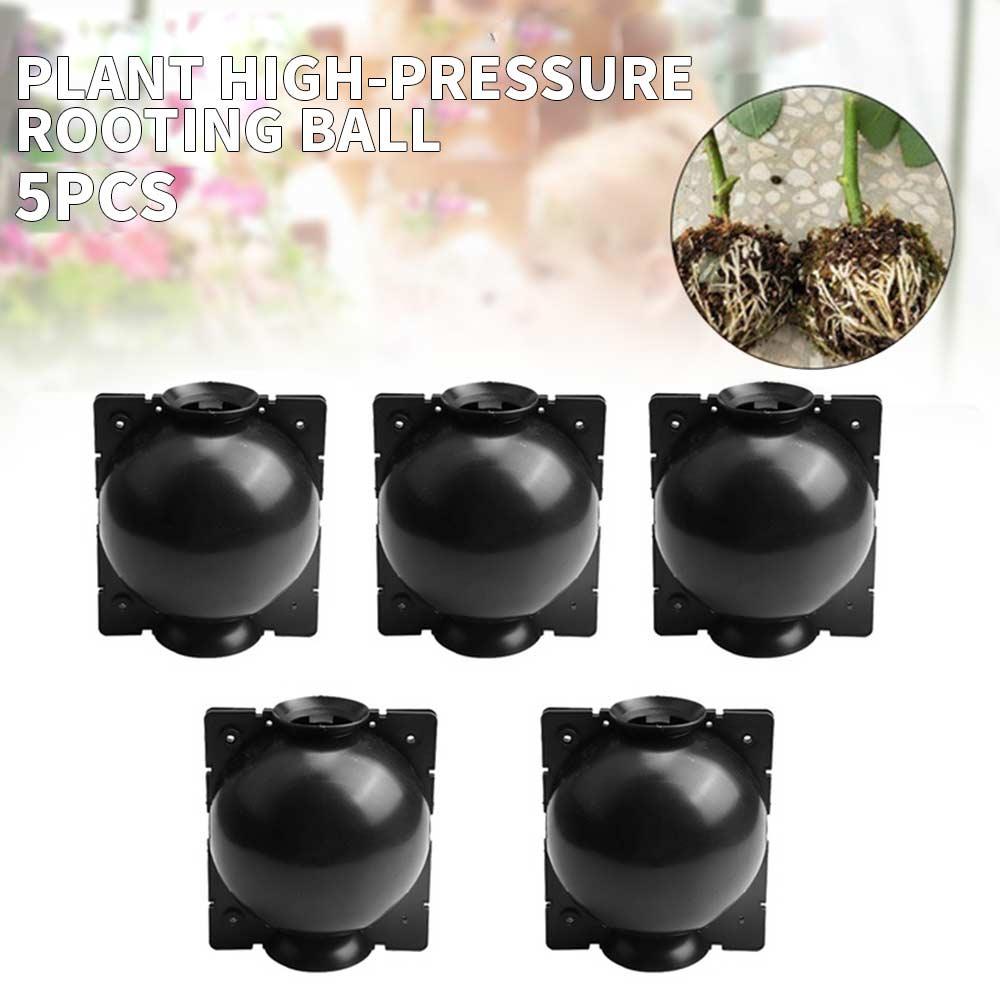 5Pcs Plant Propagation Box Balcony Beautiful Pp Plastic Economic Garden Plant Rooting Ball Flowerpot Planter Home