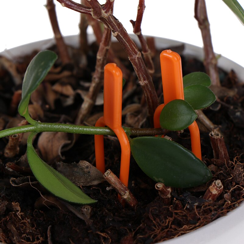 50Pcs Bevestiging Bevestiging Armatuur Clips Aardbei Vork Landbouw Klem Plastic Duurzaam Plant Clip Landbouw Clip