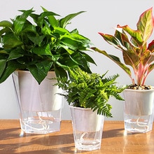 Maceta transparente de doble capa para plantas, maceta para decoración de hogar, jardín, escritorio, autorriego, PotOCT998