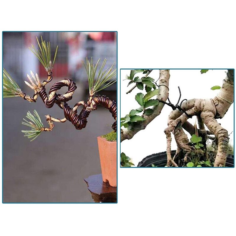 Bonsai Wire Set with Flower Pot Hole Mesh Pad,Copper Bonsai Training Wire for Bonsai Tree Kit 20 Plastic Mesh Mat