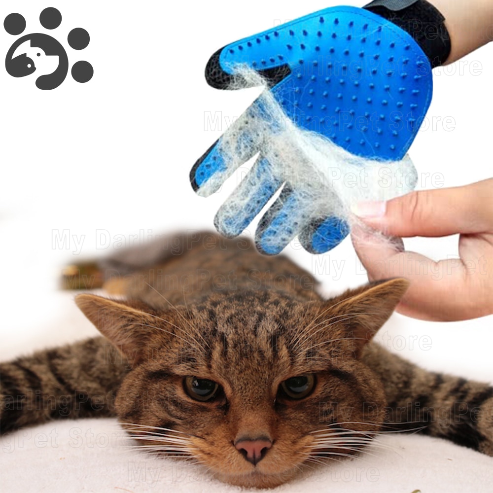 Katze Pflege Handschuh für Katze Kamm für Haar Kardieren Gute für Katzen Zubehör Produkte für Haustiere Salon Pinsel Gatos Accesorios