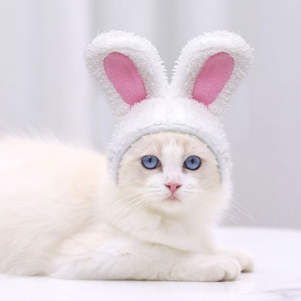 Cat Hat Bunny Rabbit Ears Headwear Kitty Cosplay Clothes Warm Costumes Dogs Kitten Party Costume Cute Adjustable Cat Accesorios
