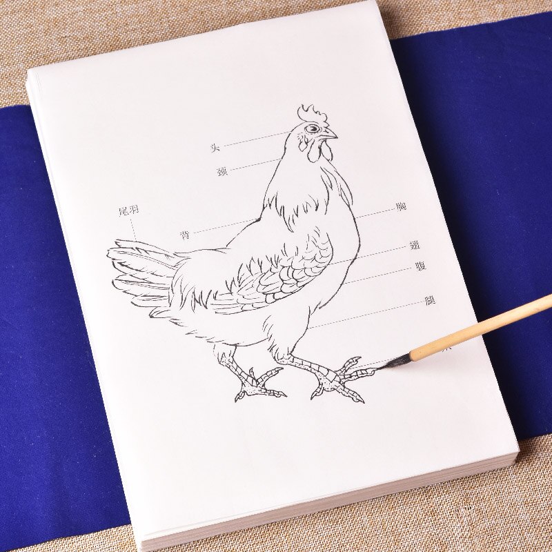 Minutieuze Tekening Manuscript Kleur Rijp Rijstpapier Kip Tekening Praktijk Voor Beginners Chinese Aquarel Schilderen Praktijk