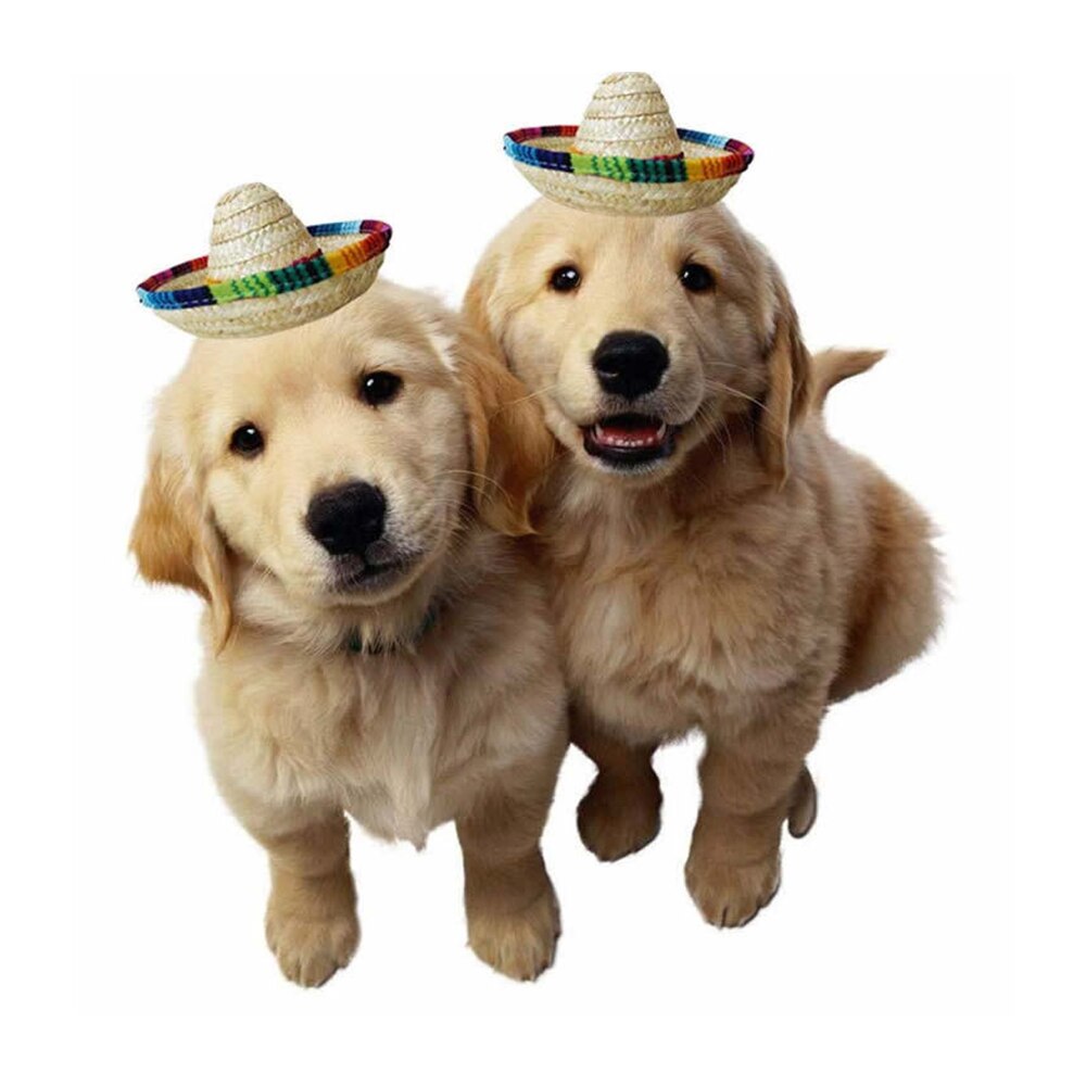 Kjæledyr stråhatt sombrero lue meksikanske hatter dekorativ festhatt for katt hund små kjæledyr hunder hawaii stil lue for hunder tilbehør