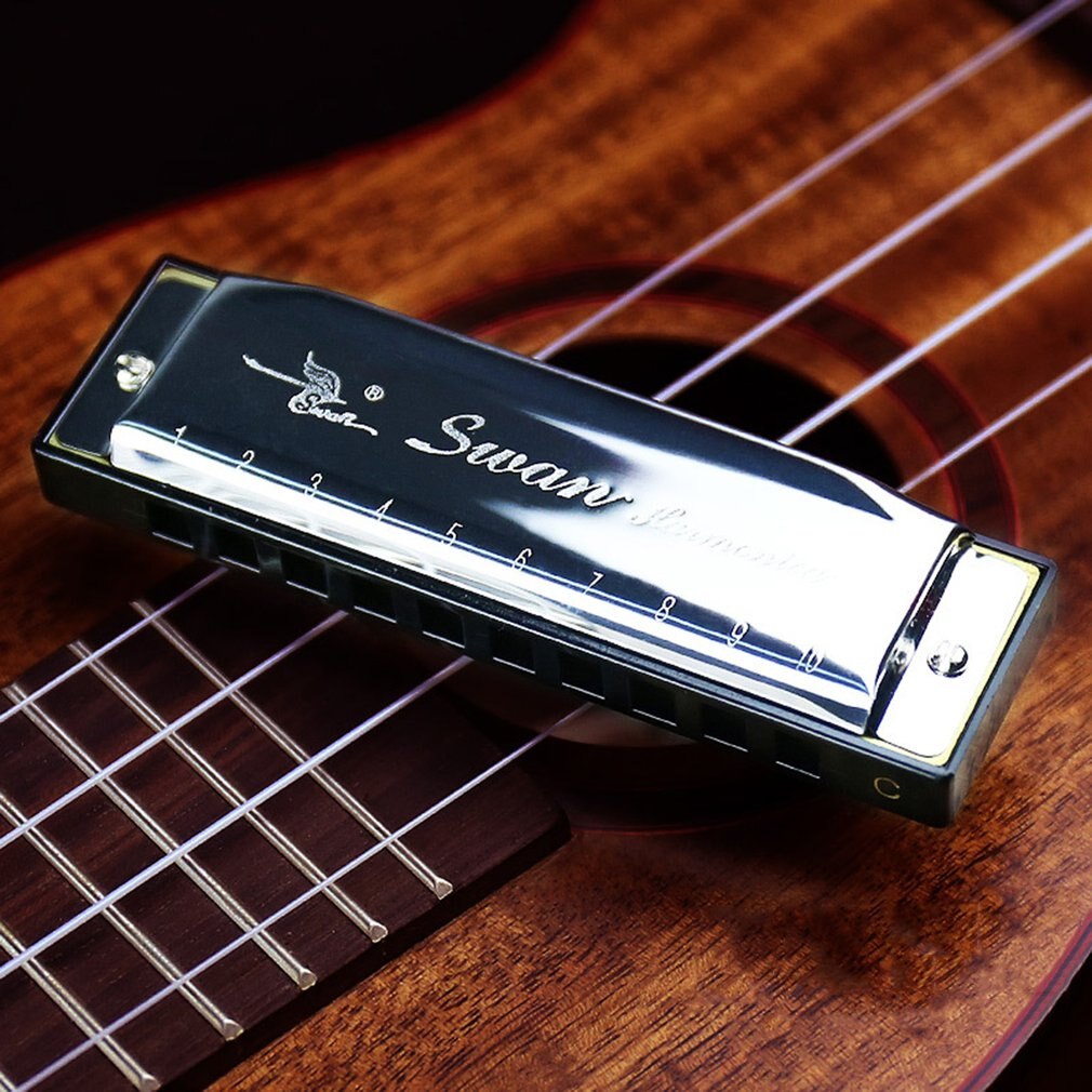 10 otwór harmonijka polifoniczna C ton harmonijka początkujący praktykujący harmonijka dzieci trwały instrument
