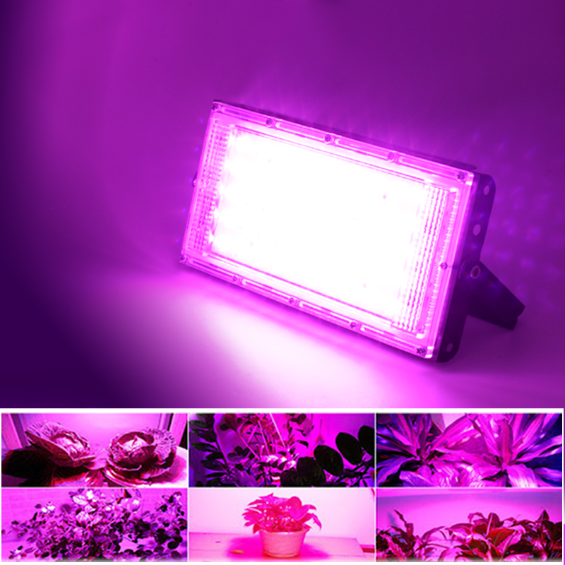 Led Schijnwerper 220V Full Spectrum Led Plantengroei Lamp 50W Led Grow Light Greenhouse Hydrocultuur Plant Schijnwerper spotlight