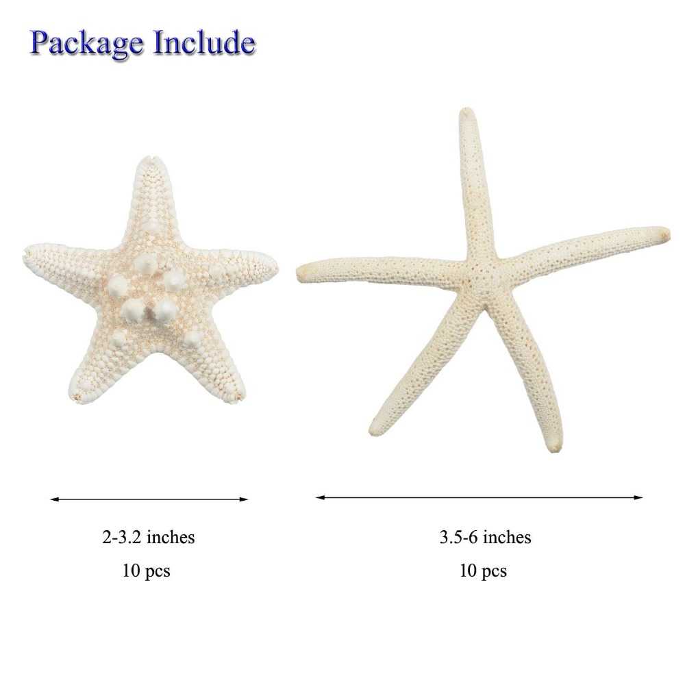 10PCS Starfishes Ocean Beach Starfish for Wedding Decor Beach Theme Party, Home Decorations,DIY Crafts, Fish Tank