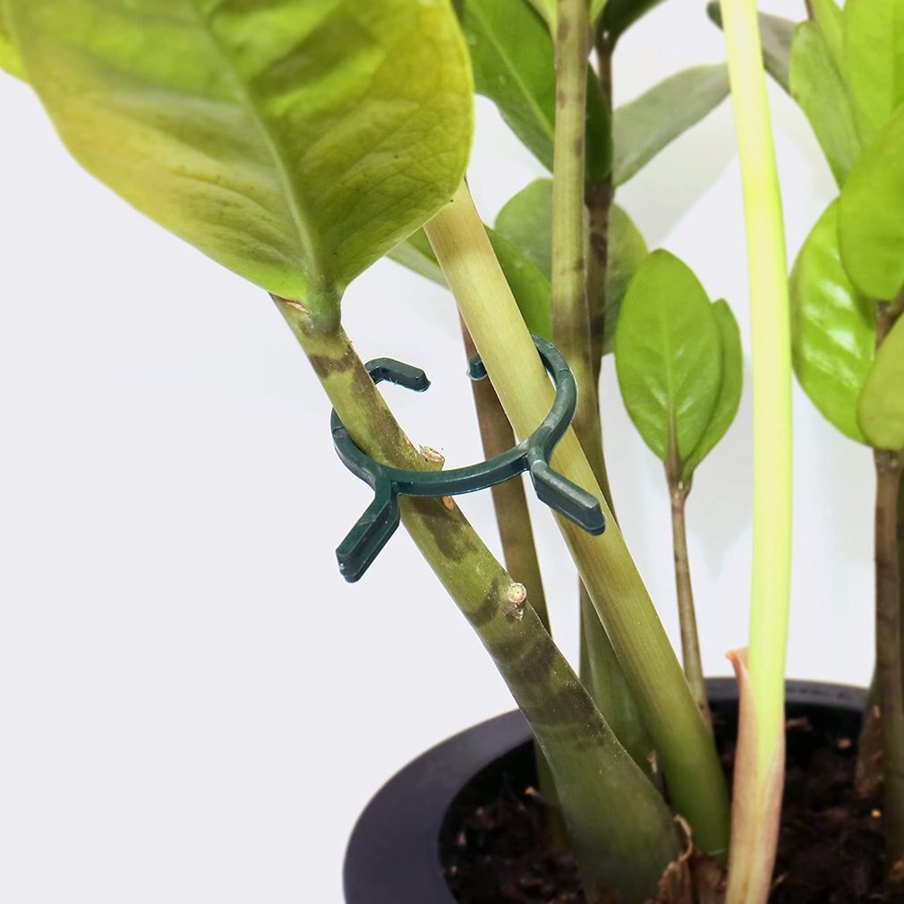 100pcs/set Butterfly Circle Fixings Garden Plant Ring Set Fixed Connection Flowers And Vegetables Agricultural Accessories