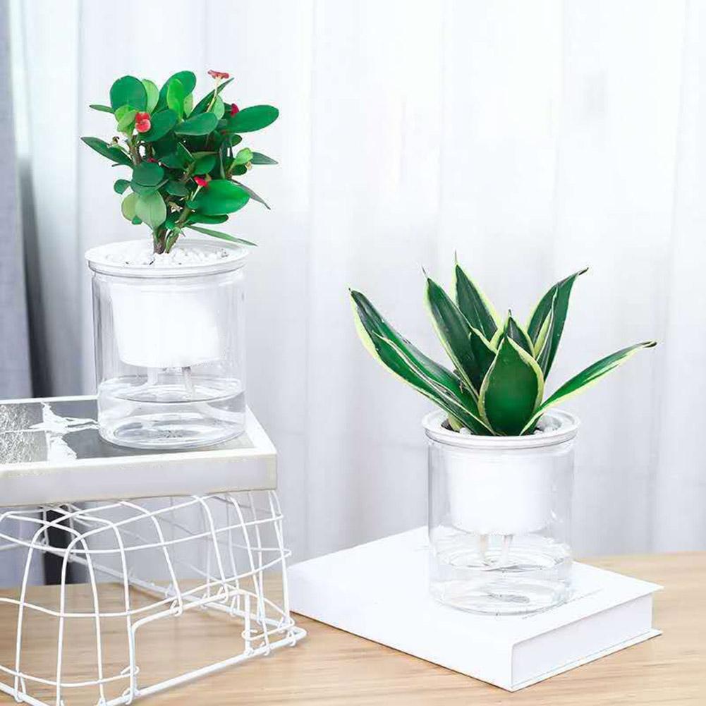 Clear Automatic Water Absorption Self Watering Hydroponic Flower Pot Planter
