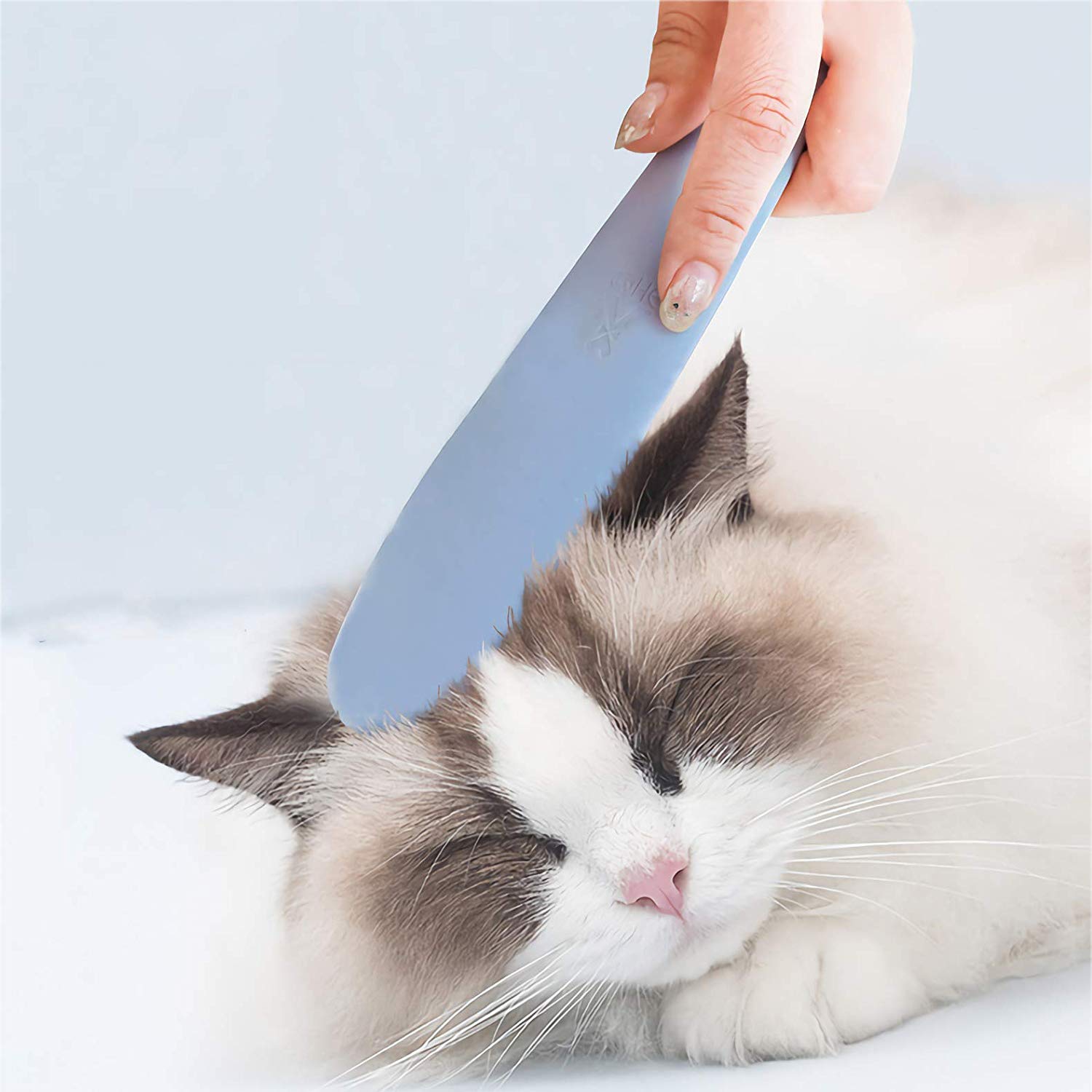Peigne simulé langue de chat | Portable langue douce, vrais Touch, outils de soins, Simulation brosse pour chat, Massage d'animaux de toilettage, fournitures de toilettage