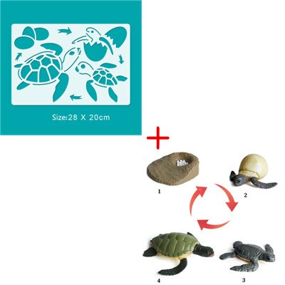 Animal Life Cycle Drawing Stencil Chicken Turtle Ant Frog Mosquito Butterfly Ladybug Model Art Painting Template Educational Toy: Turtle Set