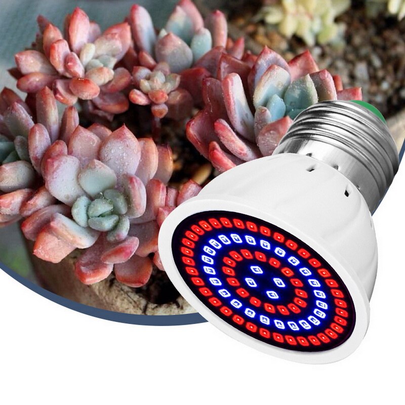 B22 E14 GU10 Phyto Led Hydroponic Growth Light E27 Led Grow Bulb MR16 Full Spectrum 220V UV Lamp Plant Flower Seedling Fitolamp