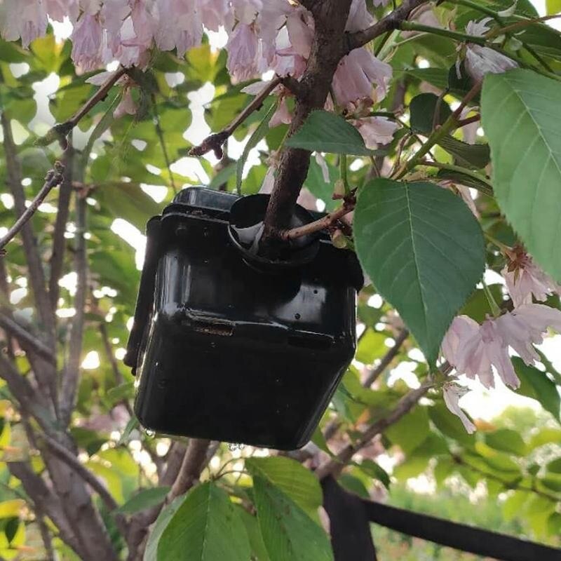 Bola de corte de bolas para cortar plantas, caja de enraizado para cultivo de reproducción de PP, suministros de jardín, Bola de esquejes para plantas, 3/5/10 Uds.