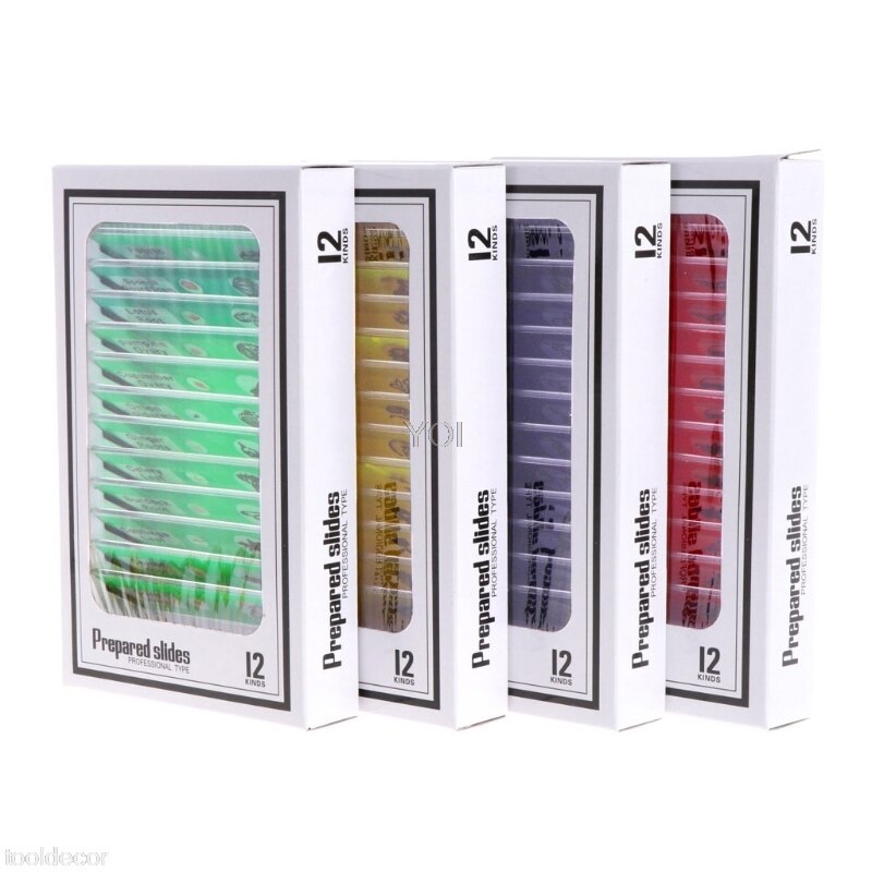 12 Pcs Prepared Microscope Slides Set Specimen For Student Basic Biology Education