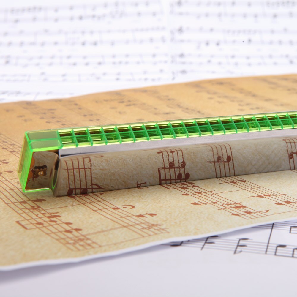 24 hulls munnspill oktav munnspill munnorgan fritt sivblåseinstrument med koffert