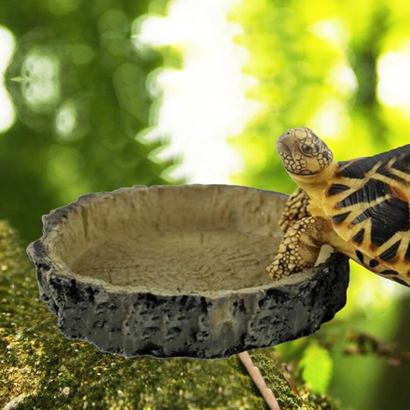 Reptiel Feeder Kom Wastafel Voeden Lade Hars Niet-giftige Food Water Pot Voor Schildpad Schildpad Hagedis Krabben